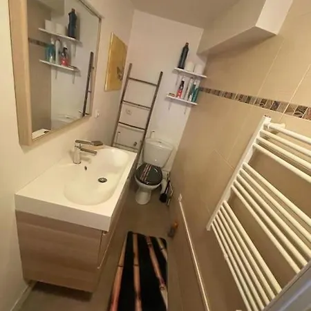 Apartment En Centre *