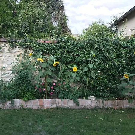 En Centre Apartment Maule